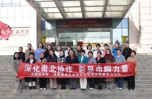 亨鑫科技爆料新闻最新,揭秘行业黑科技，引领未来科技潮流