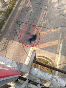 龙德广场爆料事件视频,视频揭露惊人真相